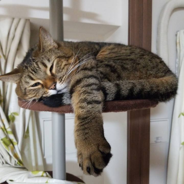 Ed8fb192 1a73 40ff 97cf aea07bf2785e 1575923006506