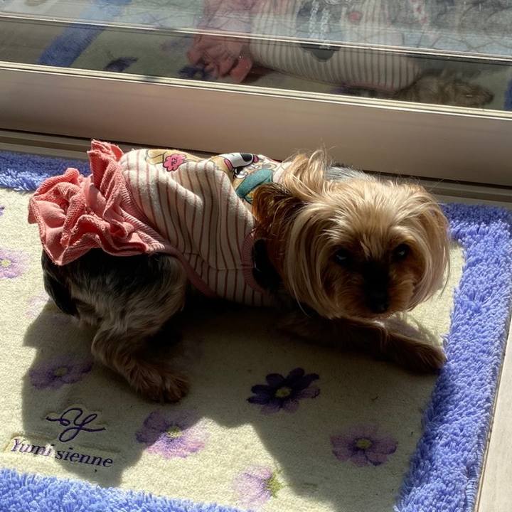 Ed8fe6a7 6941 4d17 a15c 13c8e22964cd 1613879542103