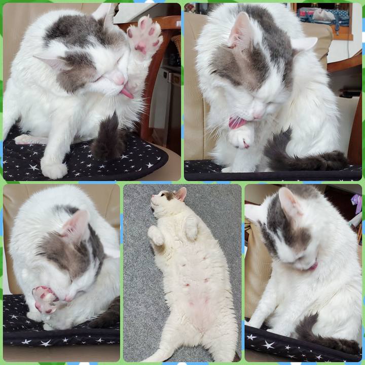 Ed8fef45 1fba 463f a172 442679f80720 1598256380247