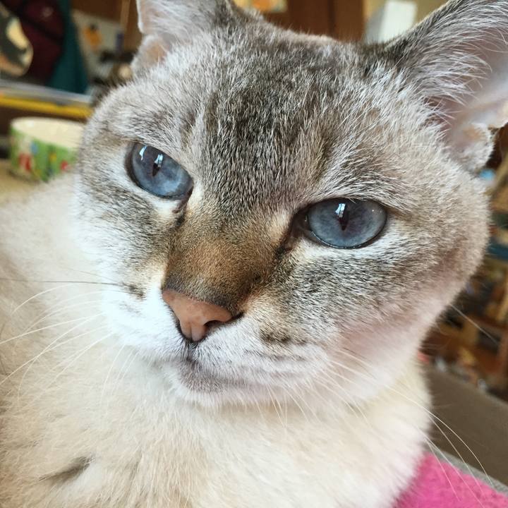 Ed8ffdbc 0977 467e bcb2 15648aeaacff 1533854461018