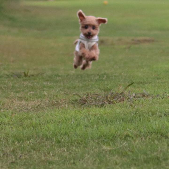 Ed9005e0 6c05 4797 a3f1 0dcafc16835c 1625310739912