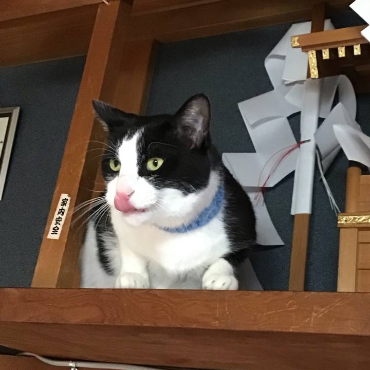 Ed90095f f7ef 40b4 89b3 36d9d10cb67c 1743065086152