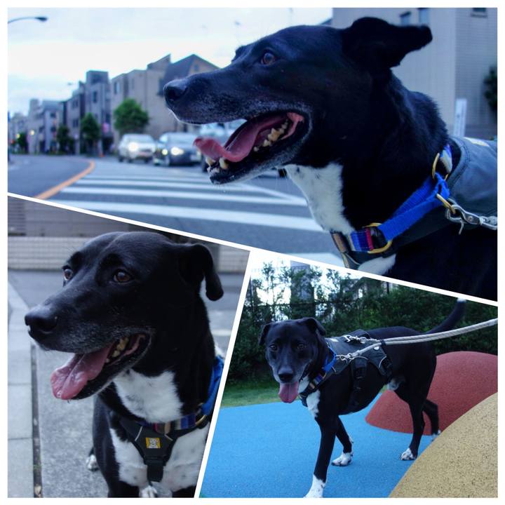 Ed900a8f 721c 4096 9862 d9cc434db278 1657104534822