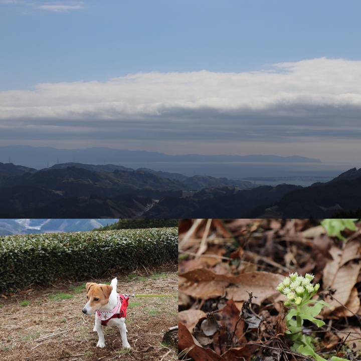 Ed904957 522c 4a26 ad3e 410afd1b3790 1521270243234