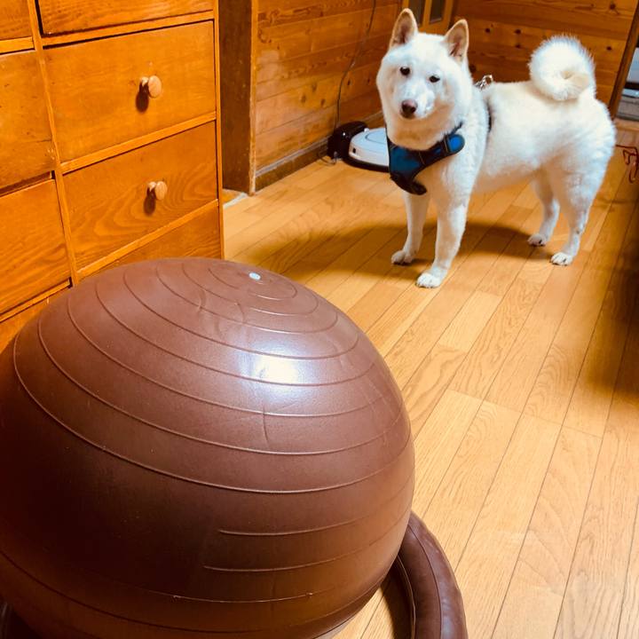 Ed905911 6281 44e5 8a24 f131068bd0af 1630529790883