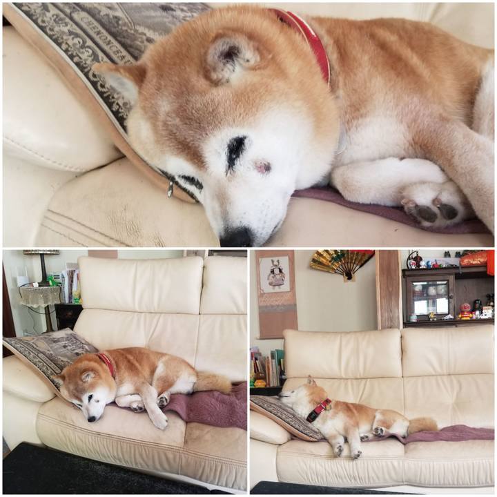 Ed90a08e 30a8 467a b77f 671f3014454e 1747530625171