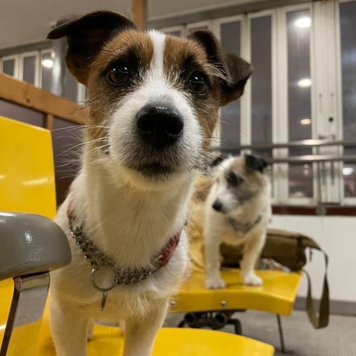 Ed90d6f2 ad0a 4f2f 81ab cb0f299c0728 1647868742395