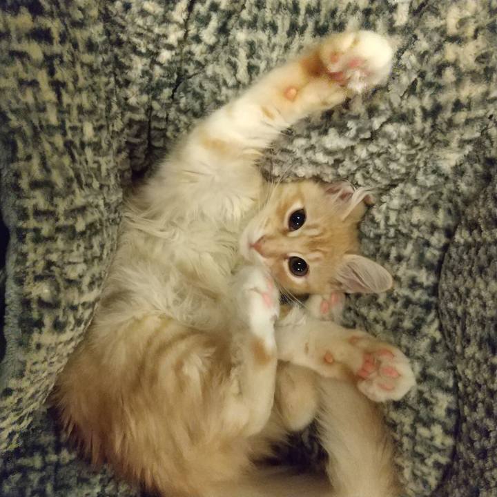 Ed90eda5 97b2 4ef8 aa24 33ea3f7f9601 1607608320651