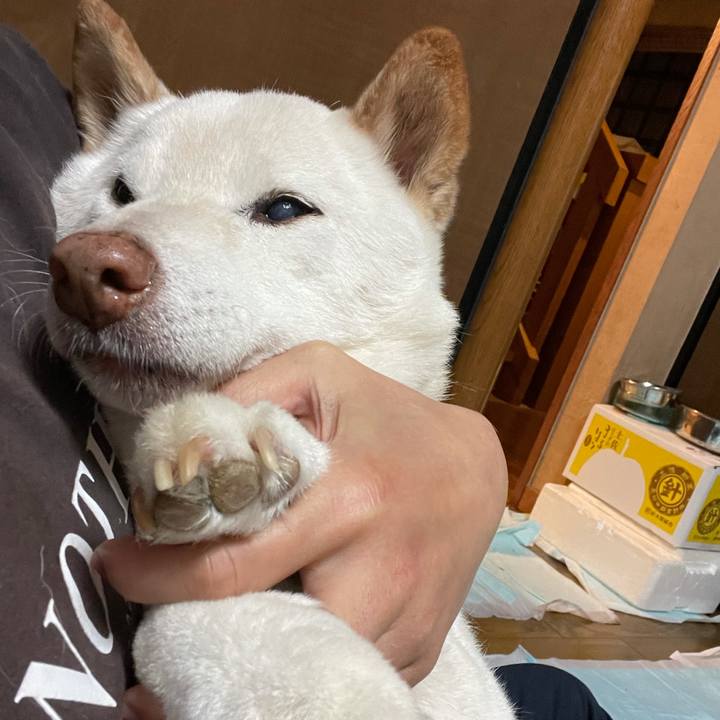 Ed90ef2e 91a5 4803 b190 4e640329cbe2 1637759689265