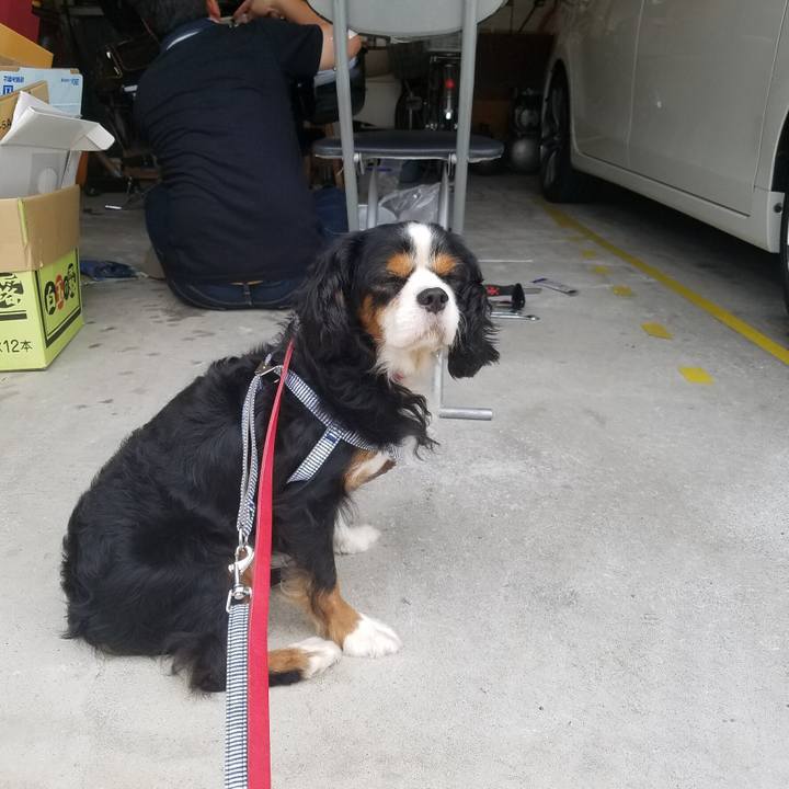 Ed90f80d c1aa 48a6 a514 ed1626078c25 1510746921105