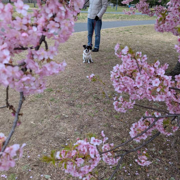 Ed9118a9 61f2 488c a11f ba6dd6d9bb11 1742029704971