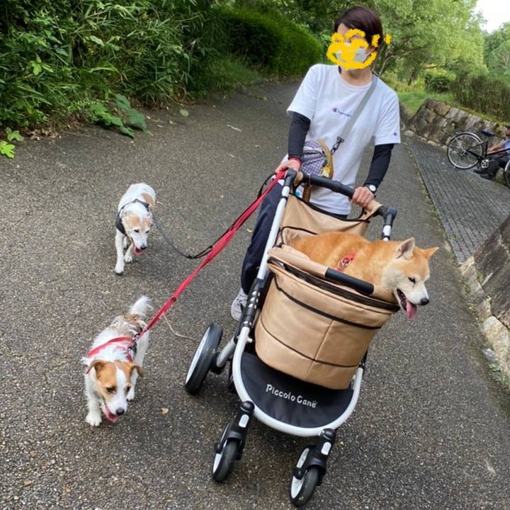 Ed914017 4306 4ccc ab7d 8ad3c87f570a 1632570010307