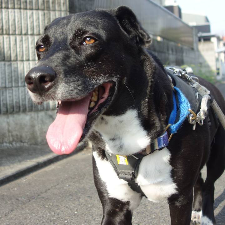 Ed918b6a ce5c 4b43 b3cc 2ec91d7c08c5 1660523980356