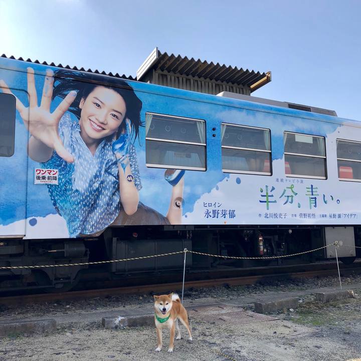 Ed918d78 8f9f 4d3c 8684 4b8374644c7d 1522483244947