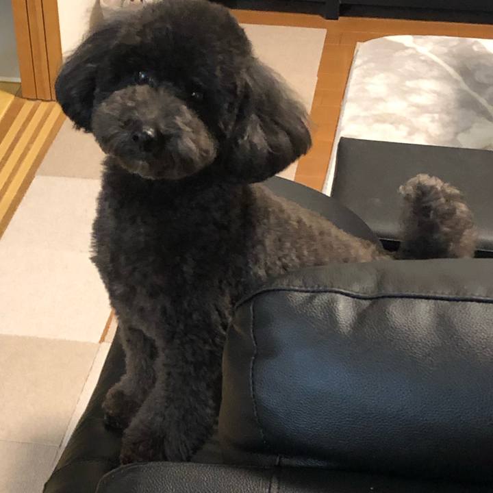 Ed919564 b8bf 4607 a0c7 f2c9d720bd33 1580431749121