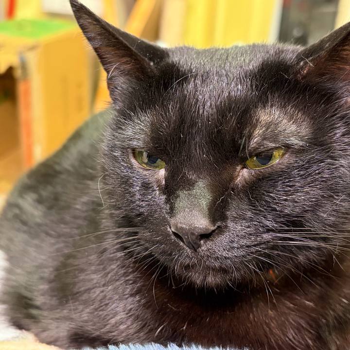 Ed91bb4a 1635 45a3 978f 606e11b51f1e 1770563305097