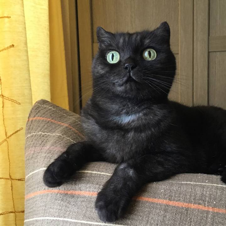 Ed91bf50 aa16 465f 921f 2ec9c1ece990 1533353154067