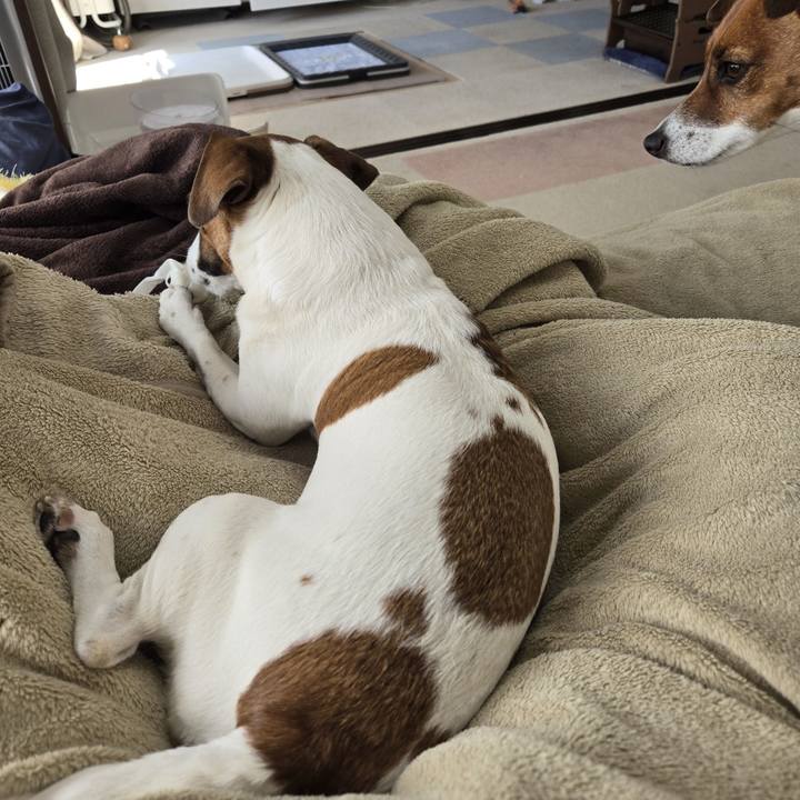 Ed91d1b4 f439 421e acbb ad60f5d6f6f7 1770616229019