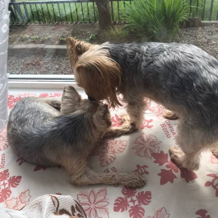 Ed91fe5a a7e1 4185 9df2 280d59e8128a 1594980384100