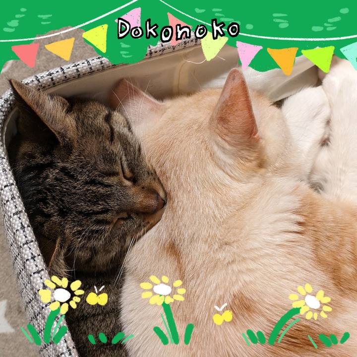 Ed9216f0 94e0 45cd bd5f 85ea6947cc47 1711547080981