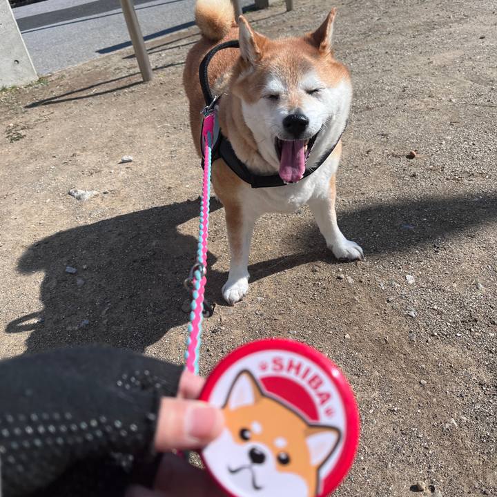 Ed92170a 89c6 4c03 a36f 85326a754485 1707705978677