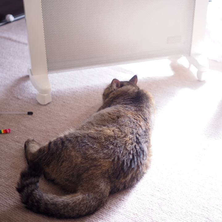 Ed9228ea e8db 4df5 9593 fc534b9cca33 1517915802767