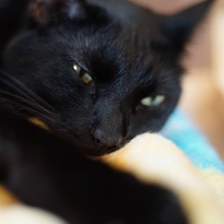 Ed92409e 20a1 4d33 94a4 16fdac891a5e 1524968910828