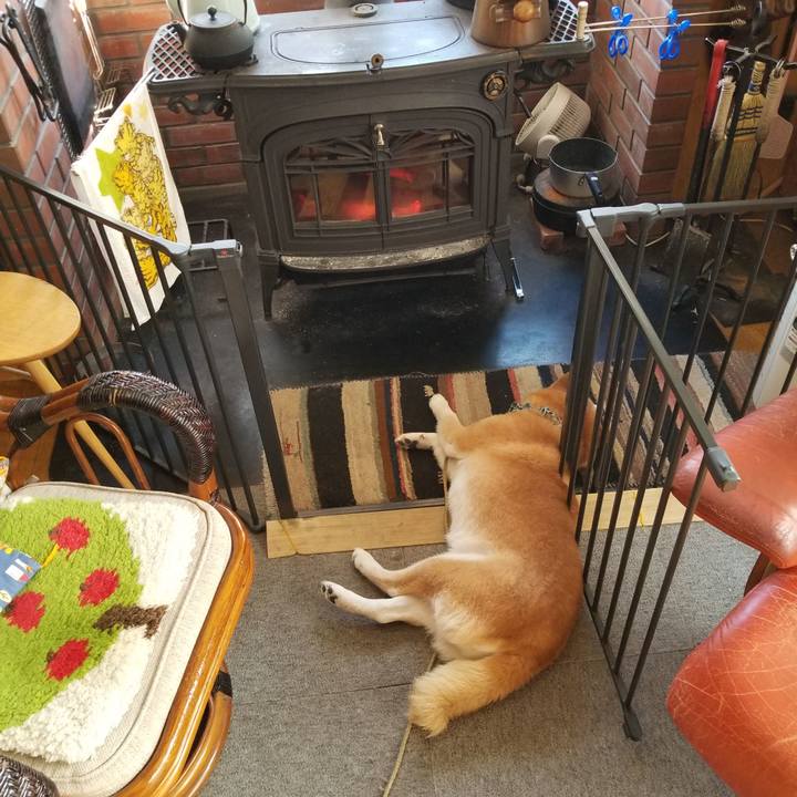 Ed92d3a1 f7fb 4a39 bb04 f0118ac33ad6 1703469549634