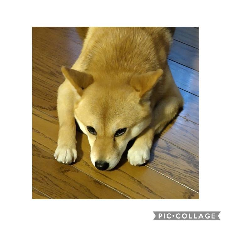 Ed9301f4 e39d 474a 91db fa59546e2e45 1653127038684