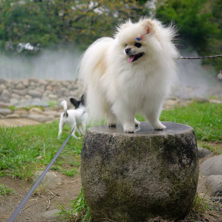 Ed9306a7 941c 4d05 a11f a142568f8631 1600499386737