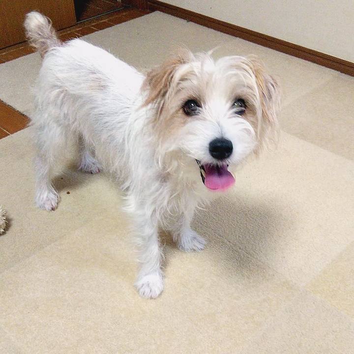 Ed930947 1916 44ea ae81 deeb5a68f4ed 1567940685021