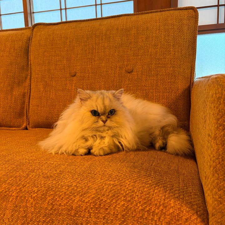 Ed93188e 13d6 4bf4 abe2 f65e168931db 1773541569934