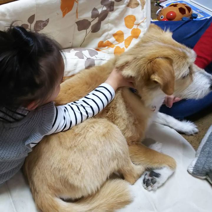 Ed932b17 80dd 4422 bcce 7994dea8eb95 1554974143952