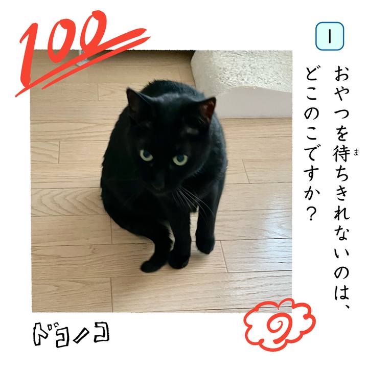 Ed9334a1 a071 4d59 b536 4a465293e9b6 1744429338246