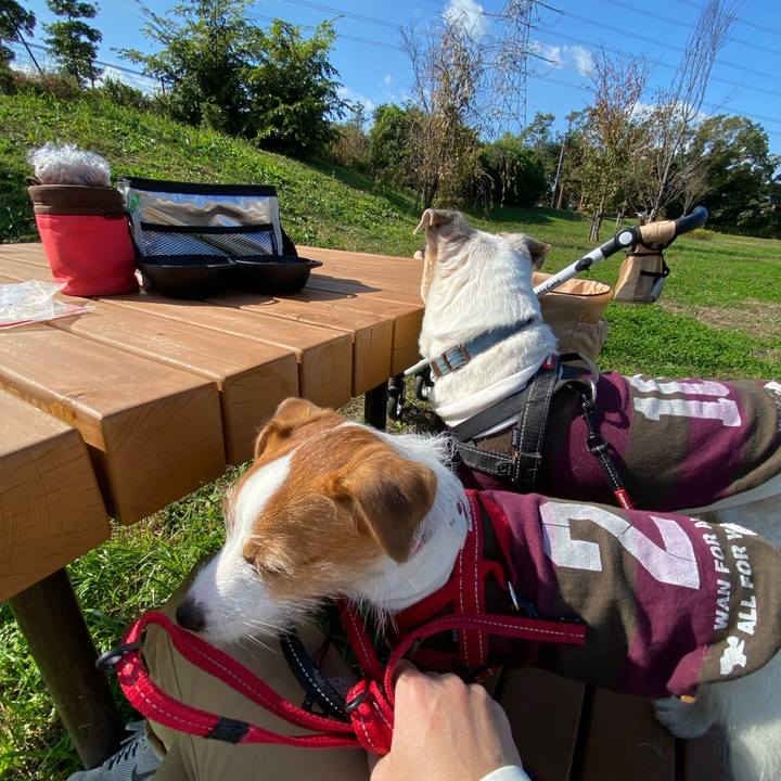 Ed935233 a2c8 46b5 a42b dcdfe1c8de8d 1635915564661