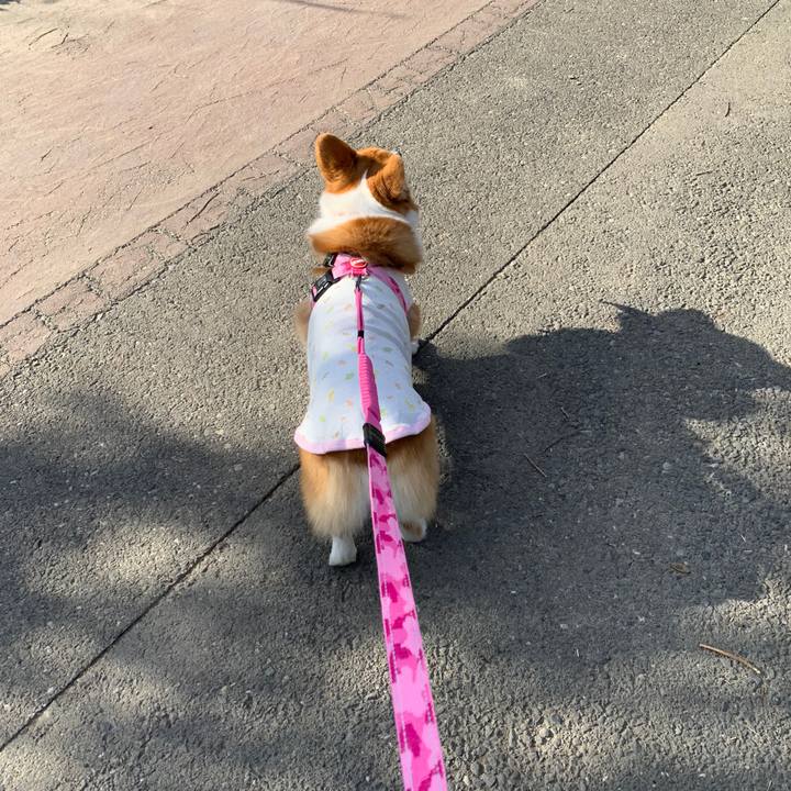 Ed935c67 034d 413b a9cd 483331e16247 1583915017500