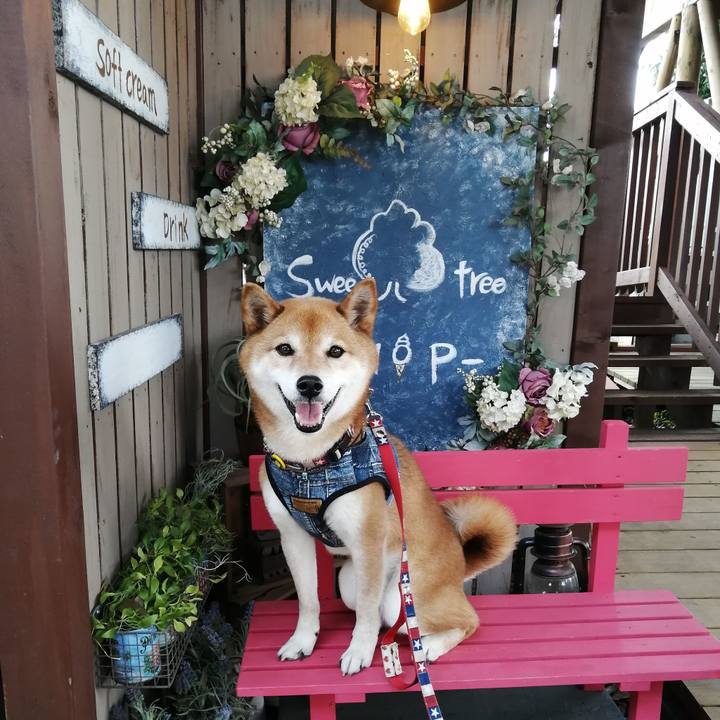 Ed936aca 6bd7 44ec 9b66 50fead2f4dd4 1654321141457