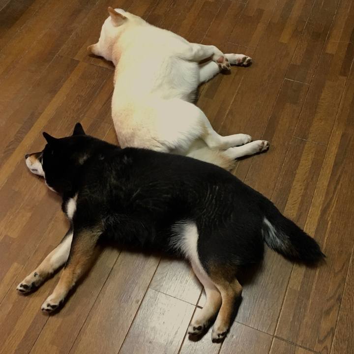 Ed9370ea 81d0 448d 862f dd21ea441820 1550261874232