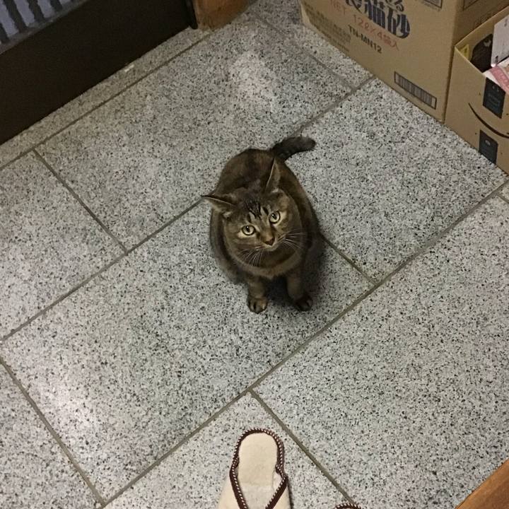 Ed9391f0 7480 4d2b 8fcb 721e1151c134 1730626581183