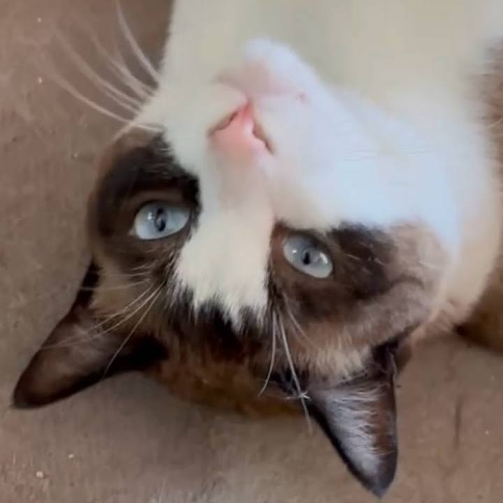 Ed93adc0 e98f 41bd 8c0a e3cc52e77365 1754103164932