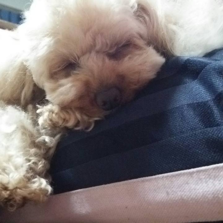 Ed93f48e 52b7 4b8d 88c1 da89b96b2c92 1523854422254