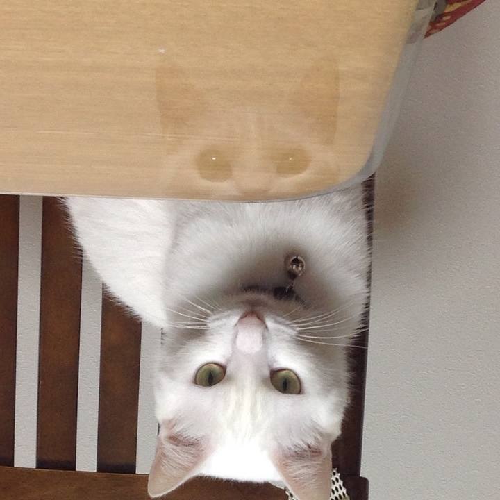 Ed93f9ad 1613 4f57 b5f3 d91067a471ab 1642581720455