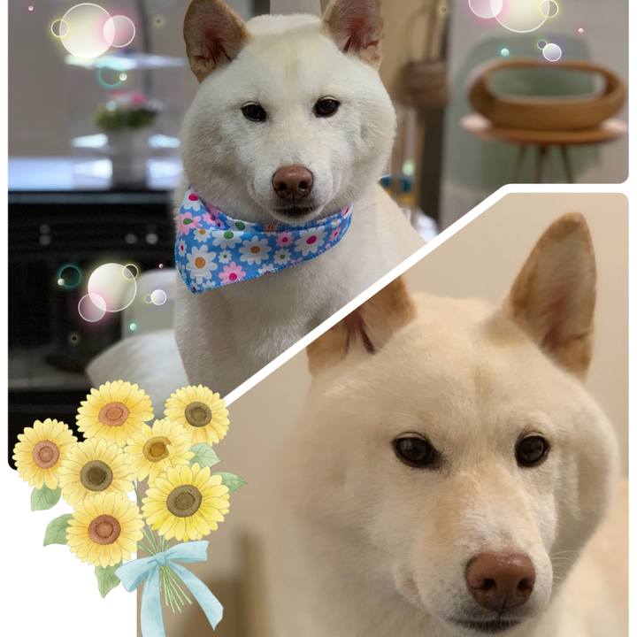 Ed9401bf 2d6d 4d5d 8a35 8adafc7bd109 1663025222462