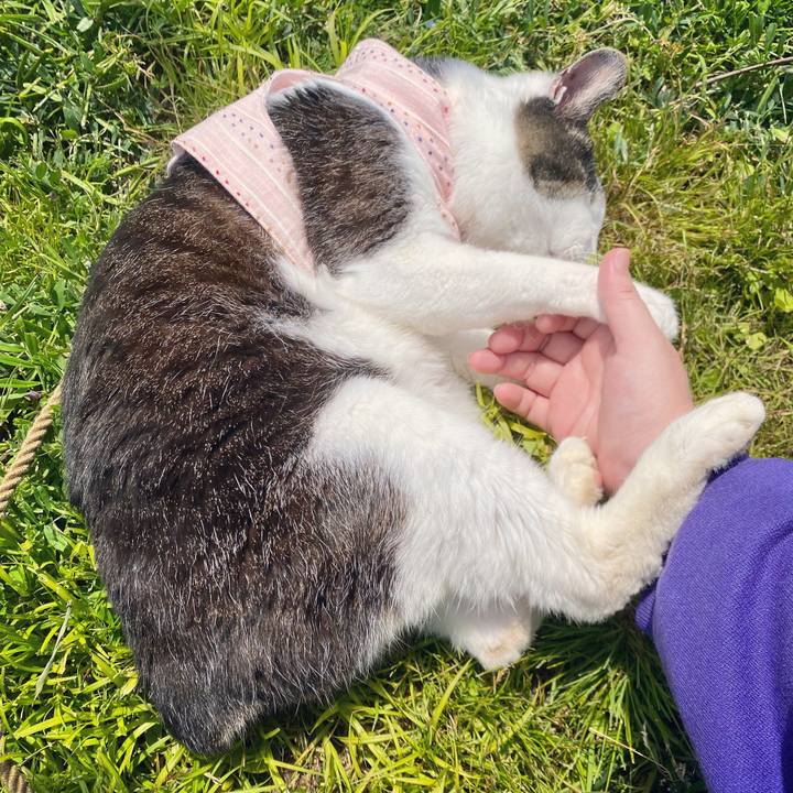 Ed940a99 586f 4f8a a939 d7b1d0938473 1619329740251