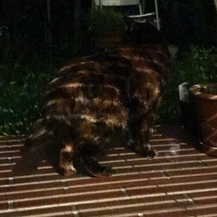 Ed9415a3 569e 4b41 90f9 e8dc6cb32432 1619000576369