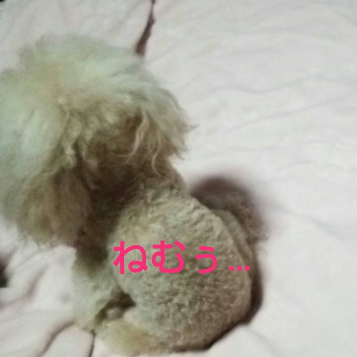 Ed94209d 2c60 49e6 9152 d592aa1bc373 1560258736603