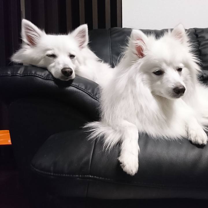 Ed942a39 d611 4078 b600 11ba5382f221 1586261023737