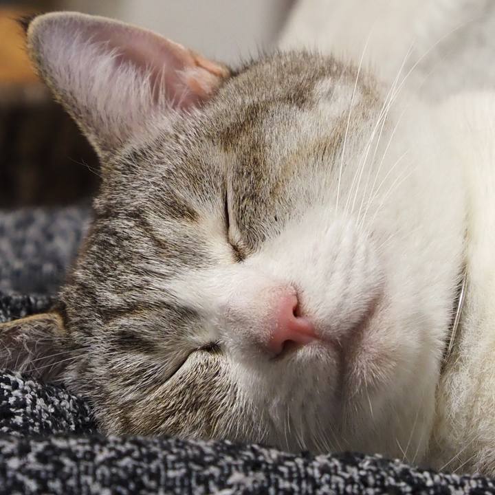 Ed9434b3 859f 48d1 a567 80579934b48f 1595650960561