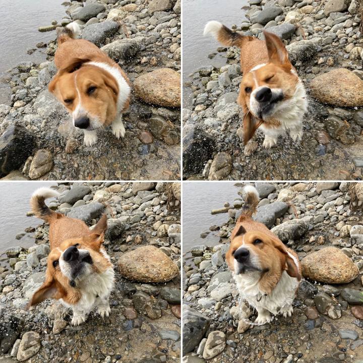 Ed944c54 dd98 450c 8ac0 67dc0d705324 1686874318660