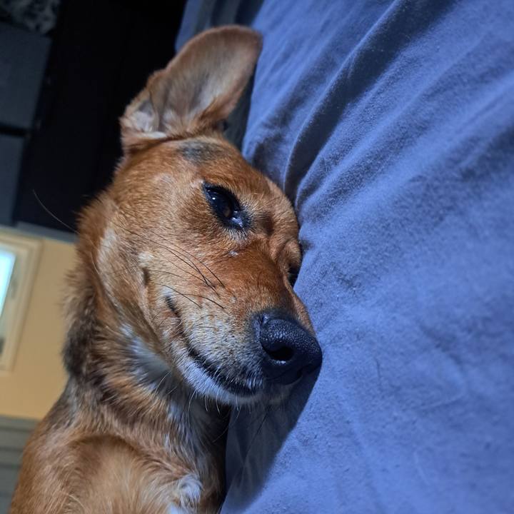 Ed9489fa ab4a 4d6f aa92 23378468839c 1762612652351